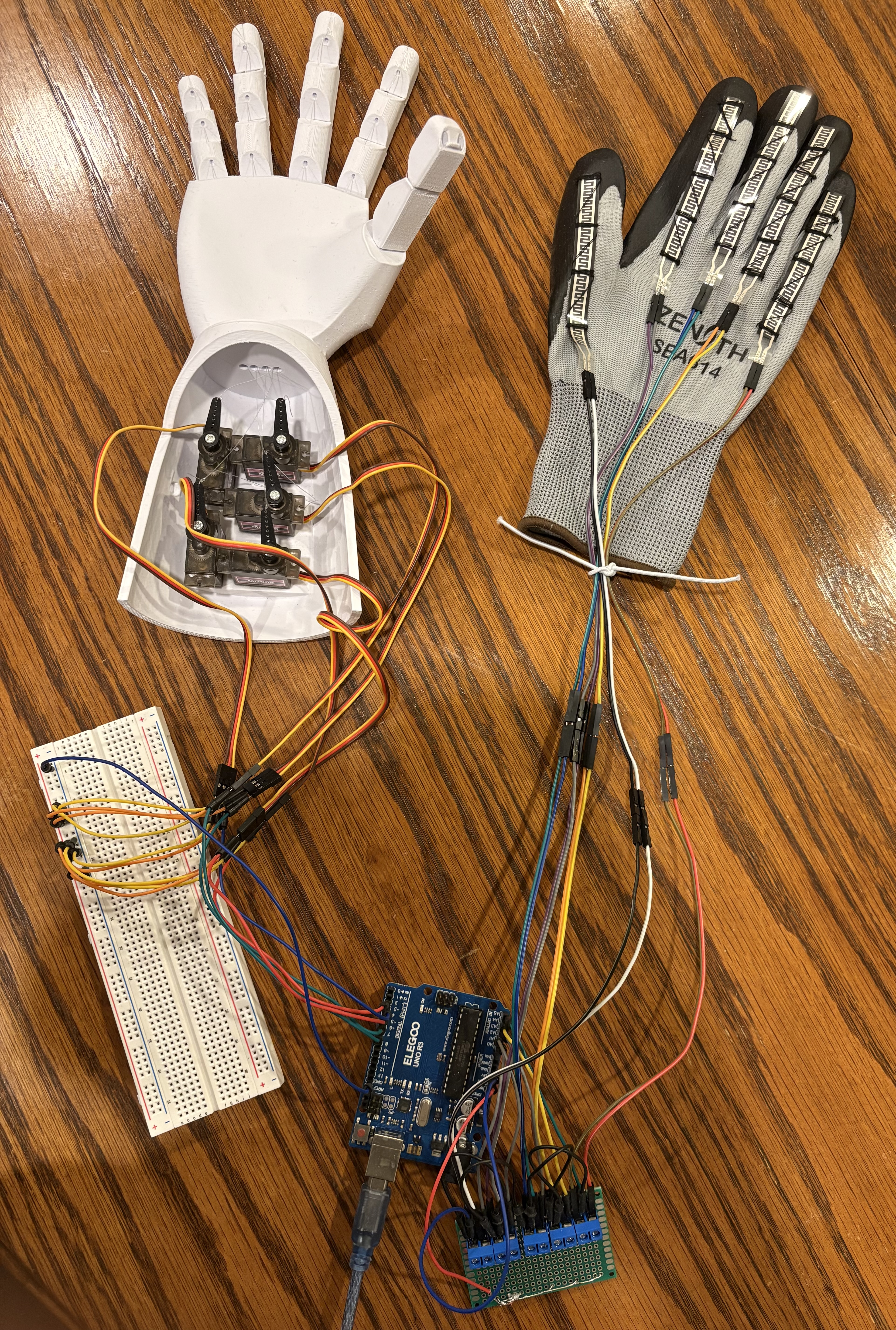 Top-down view of complete robotic hand system wiring